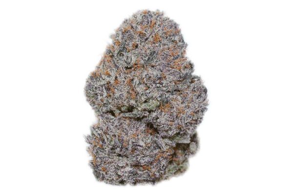 Apple-Fritter-24111