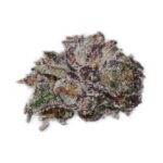 red-bullz-240122