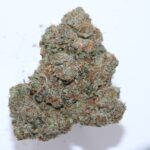 pineapple-express-240305