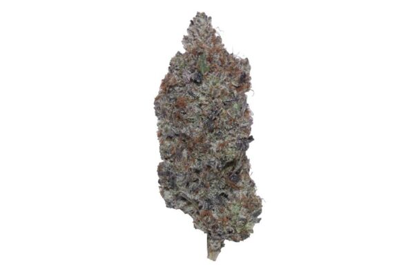 Black-Triangle-240508