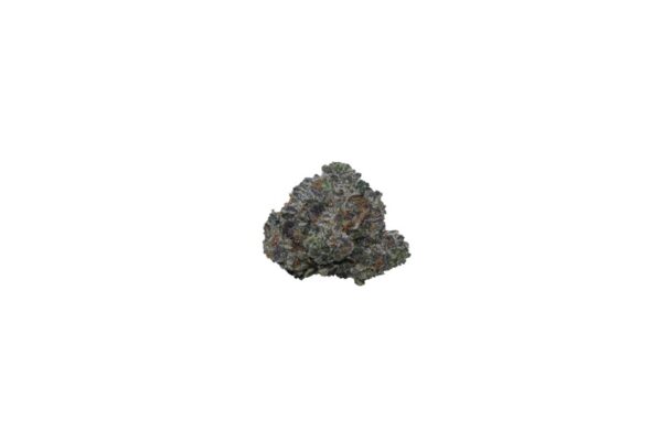 Organic-Rockstar-241508