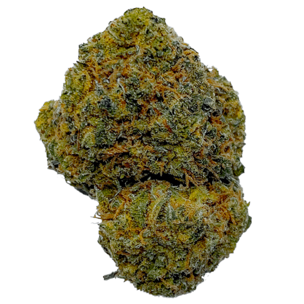 Sour LA
