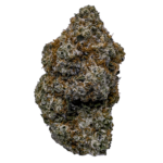 aspen dreamz