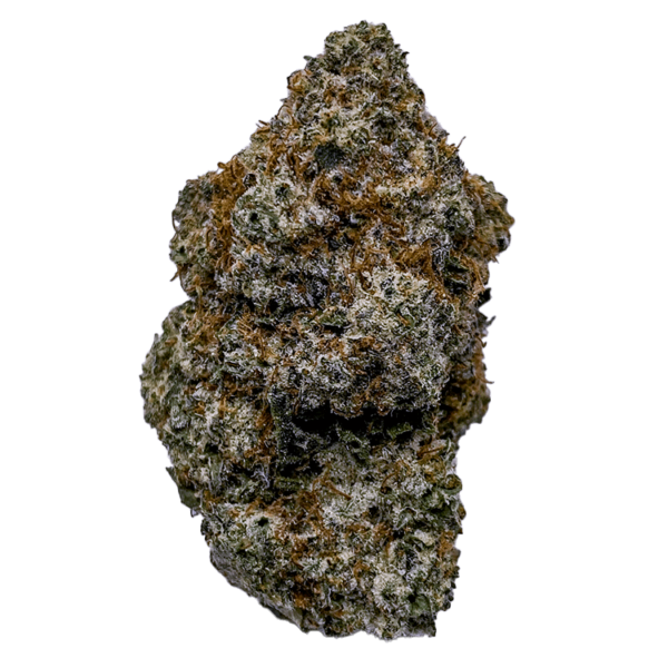 aspen dreamz