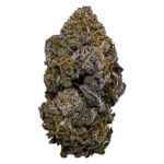 midnight nuken