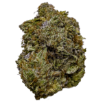 jet fuel ss