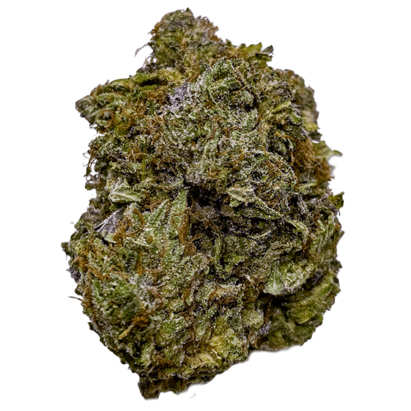 jet fuel ss