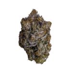 lindsay og